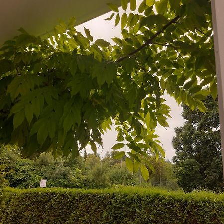 City Apartment Tuebingen-Lustnau Eksteriør bilde